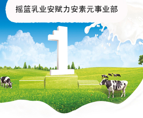 搖籃乳業(yè)安賦力安素元事業(yè)部全國(guó)招商