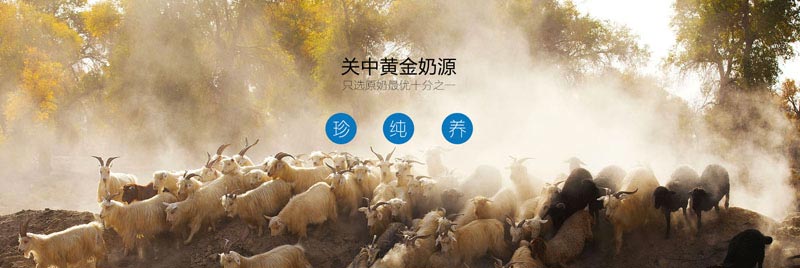 卓牧羊奶招商