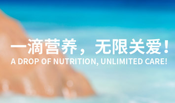 美深國(guó)際貿(mào)易（寧波）有限公司（童年故事）